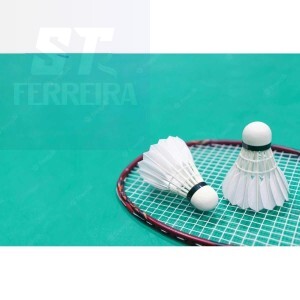 KIT DE PETECA + BOLA DE PING PONG (ID-3942P)